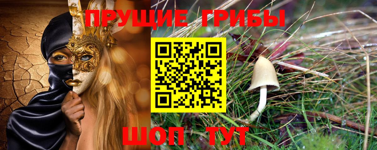 Псилоцибиновые грибы GOLDEN TEACHER Топки