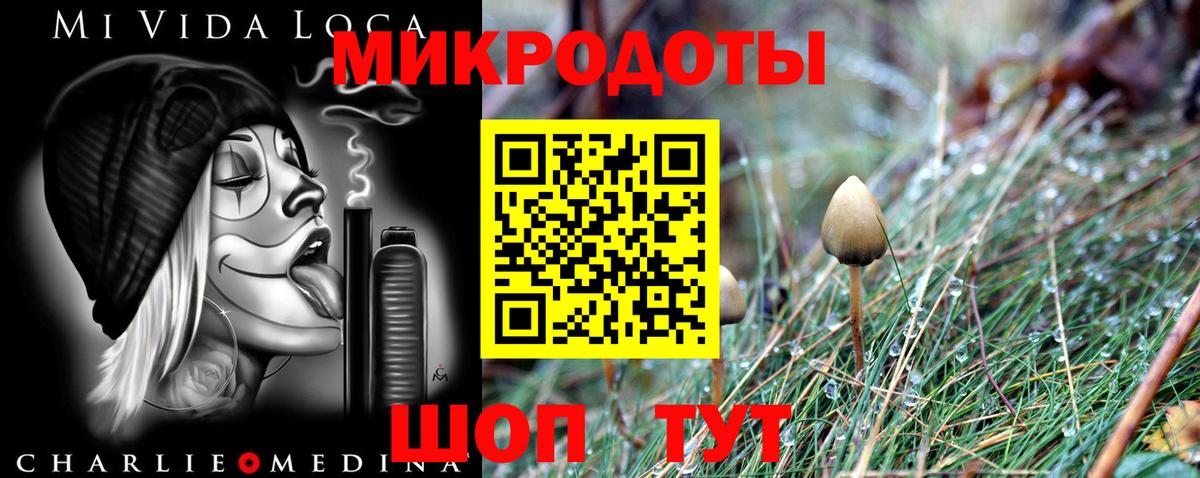Галлюциногенные грибы Psilocybe  Вход с VPN  Топки 